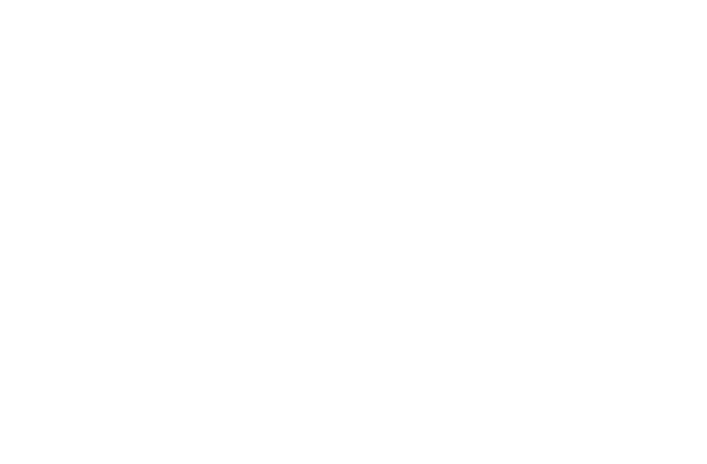 Logo SA (ffffff)